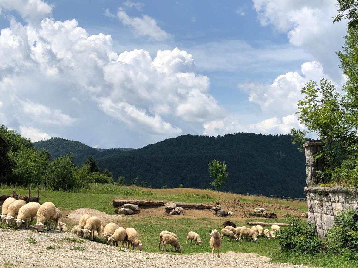 B&B Mad Mountain Robidisce Ngoại thất bức ảnh